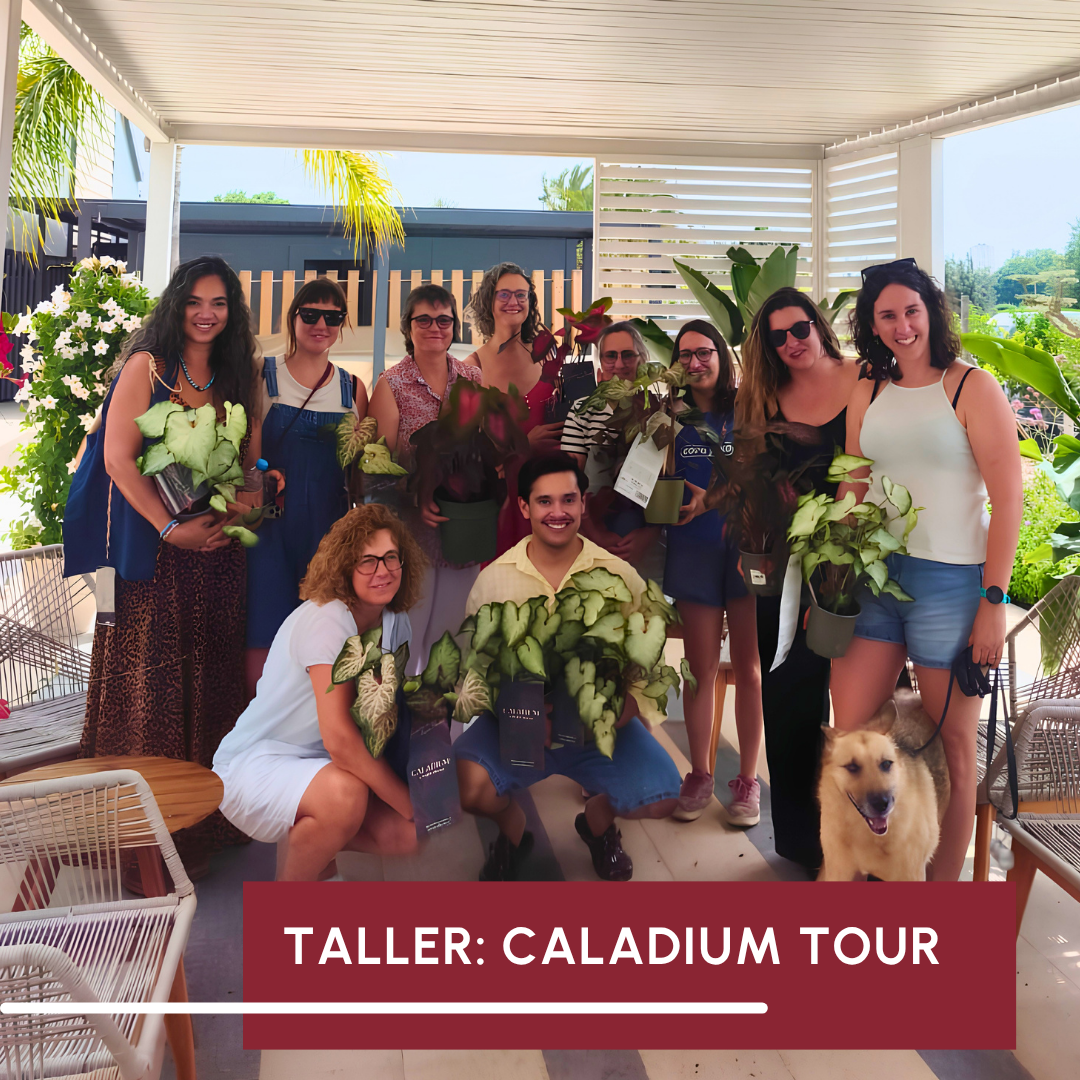 Així vam viure el nostre CALADIUM TOUR a Artiflora
